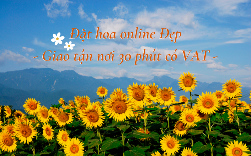 Hình đại diện