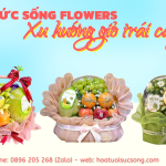 Hình đại diện