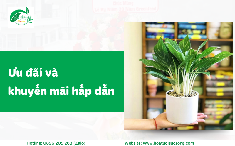 đặt hoa online tại quận 8