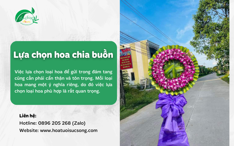 hoa chia buồn