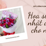 Hình đại diện