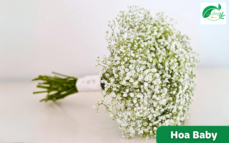 hoa tượng trưng cho tình yêu