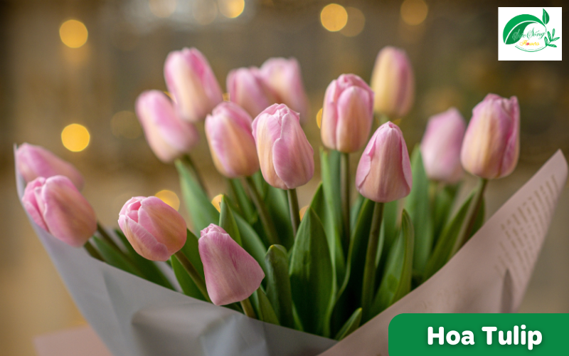 hoa tượng trưng cho tình yêu