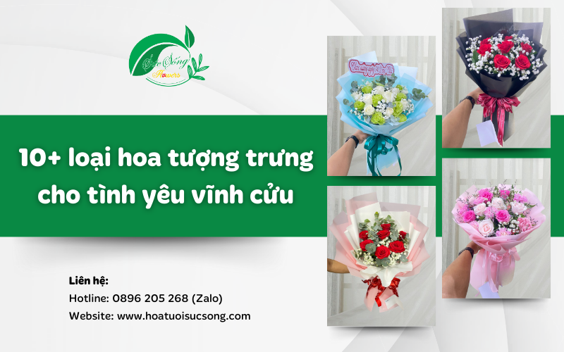 Hình đại diện